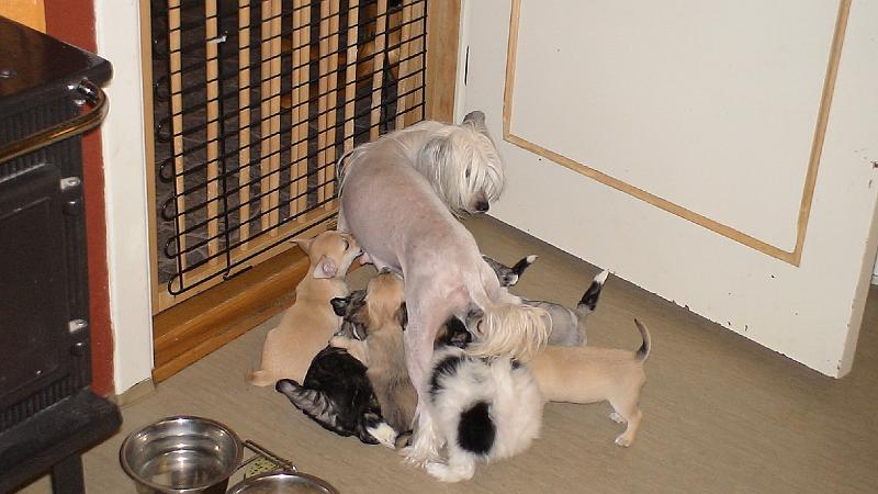 DSC01005.JPG
