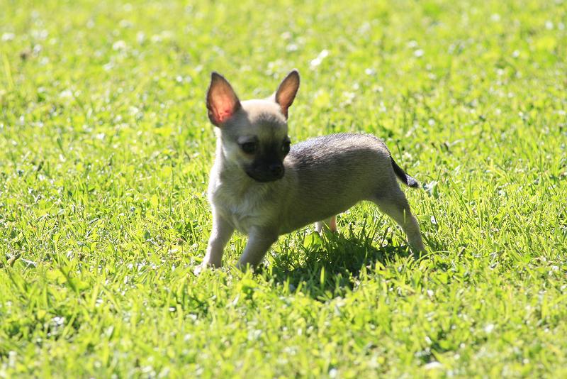 _MG_6219.jpg